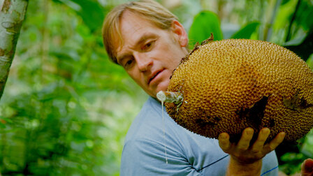 Guarda Costa Rica. Episodio 3 della Stagione 1.