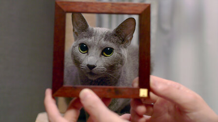Guarda Arte ispirata ai gatti. Episodio 3 della Stagione 1.